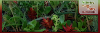 V-Series - Veld Mix V-Series - Veld Mix